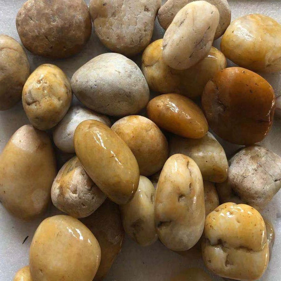  Quality Honed Yellow Rain Flower Stone Pebbles Manufacturer | First Stone 