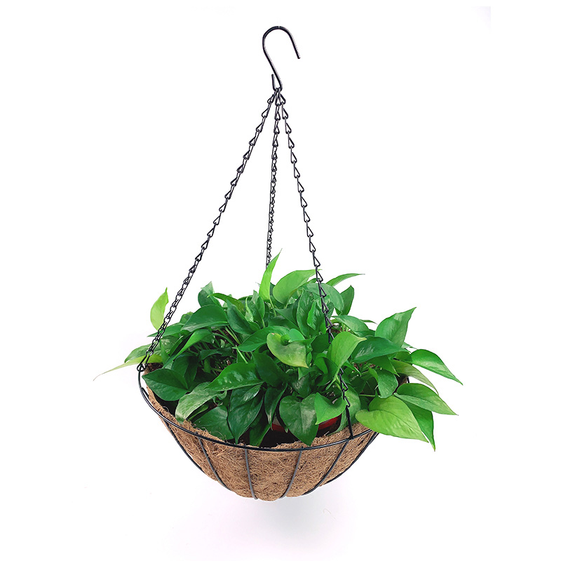 Cesta de fibra de coco, soporte para plantas de alambre redondo, cesta colgante de metal con revestimiento de fibra de coco
