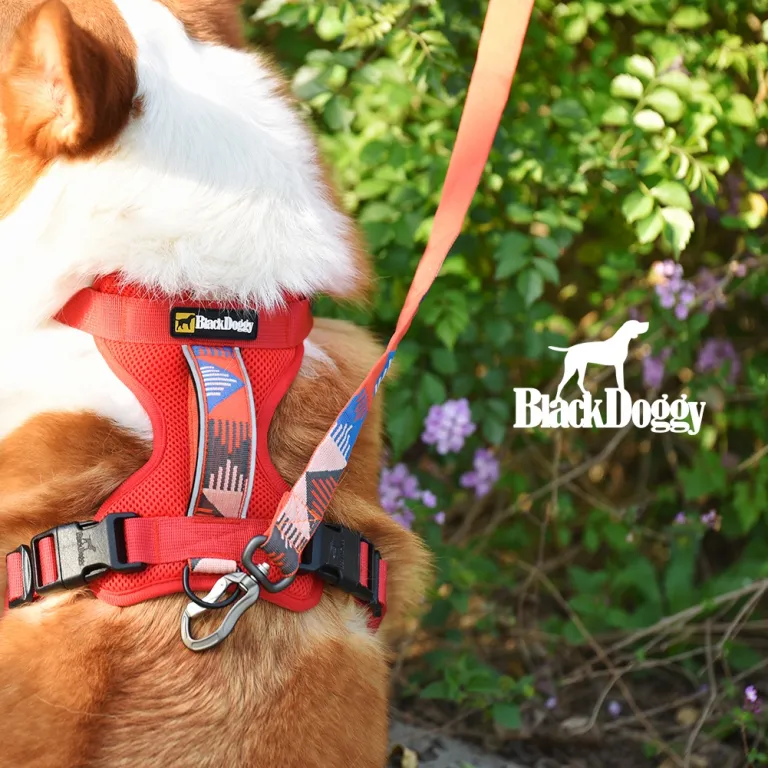 BlackDoggy - Venta al Ropa personalizada para mascotas Ropa Chaleco acolchado transpirable Arnés para el