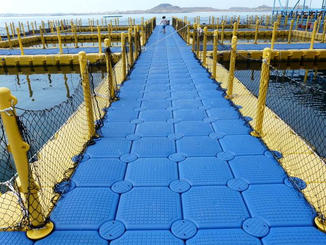 blow moulding plastic product HDPE floating pontoon dock for boats
