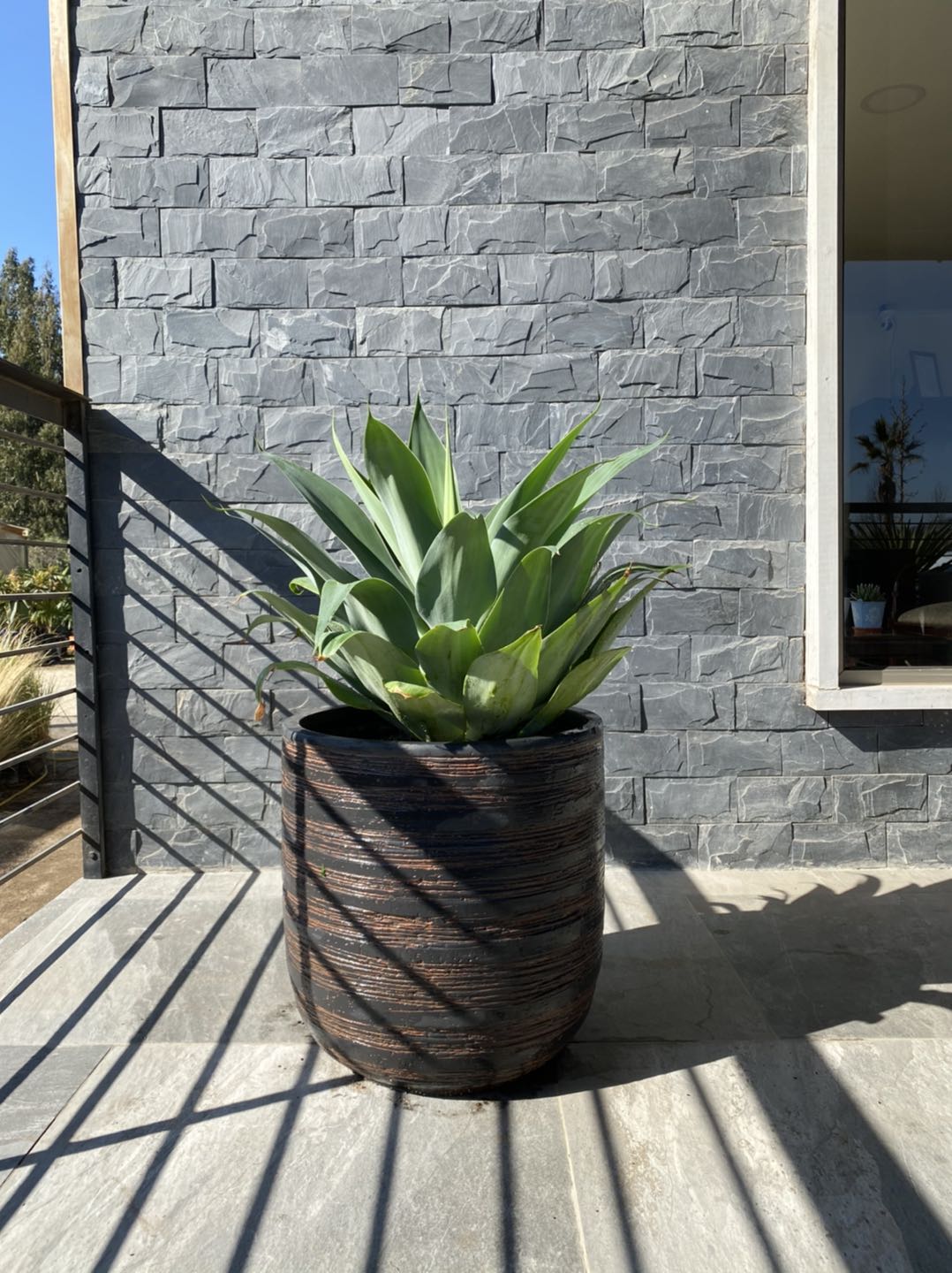 Grey Ceramic Plant Pot Flower Pots Planters Wholesale